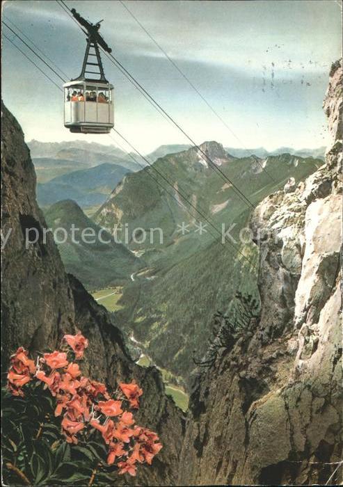 Ruhpolding Bayern Rauschbergbahn Alpenflora Alpenpanorama