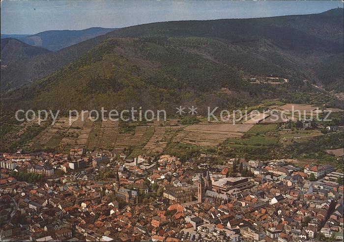 Neustadt Weinstrasse Teilansicht Fliegeraufnahme