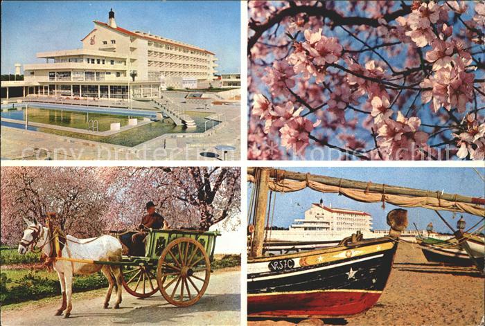 Monte Gordo Hotel Vasco da Gama