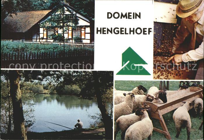Houthalen Domein Hengelhoef
