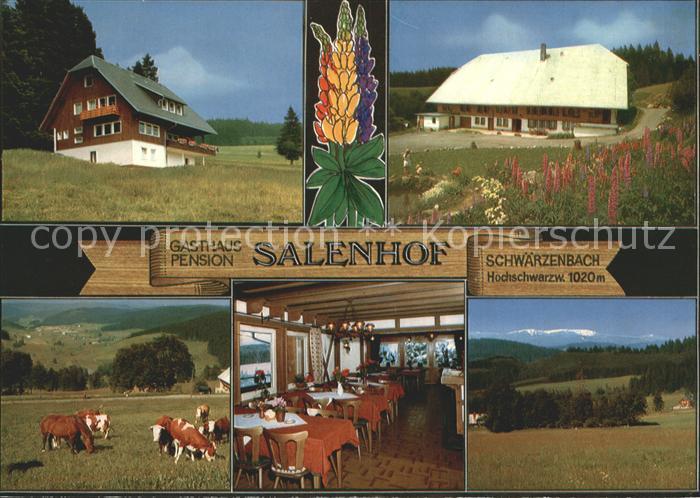 Titisee-Neustadt Gasthaus Pension Salenhof