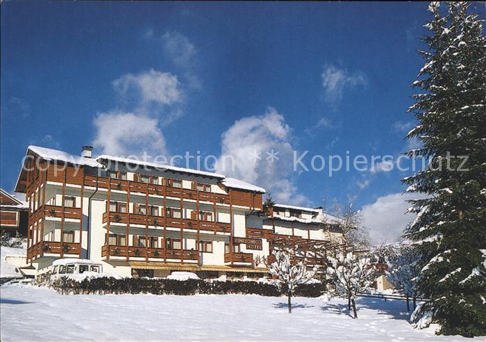 Castello di Fiemme Olimpionico Hotel