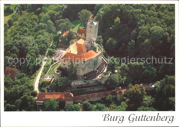Neckarmuehlbach Burg Guttenberg ueber dem Neckar Luftaufnahme