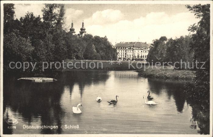 Donaueschingen Schloss See Schwaene