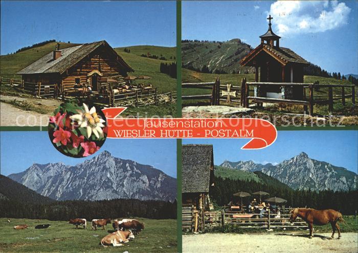 Abtenau Jausenstation Wieslerhuette Postalm Kuehe Pferd