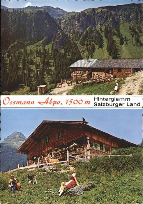Hinterglemm Saalbach Ossmann Alpe