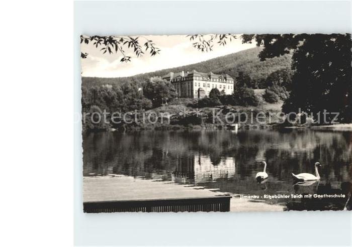 Ilmenau Thueringen Ritzebuehler Teich mit Goetheschule Schwaene