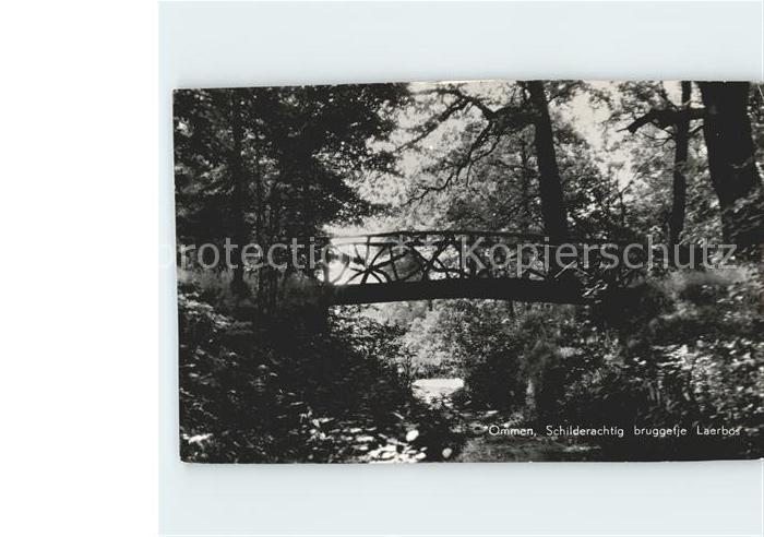 Ommen Overijssel Brücke im Park