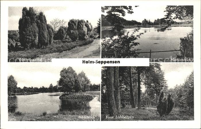 Holm-Seppensen Buesenbachtal Muehlenteich Forst Lohbergen Badeteich