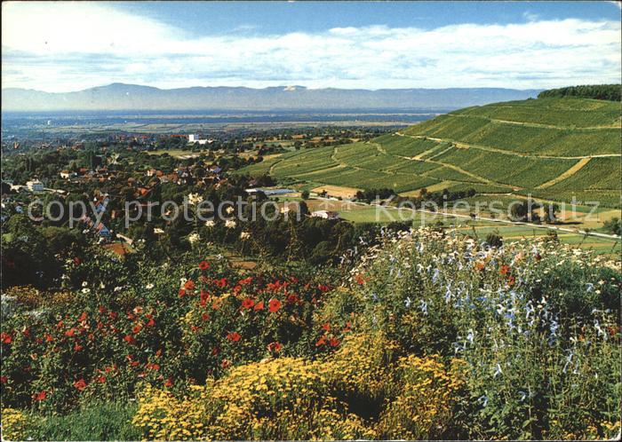 BADENWEILER BW Roemerberg Rheintal Vogesen