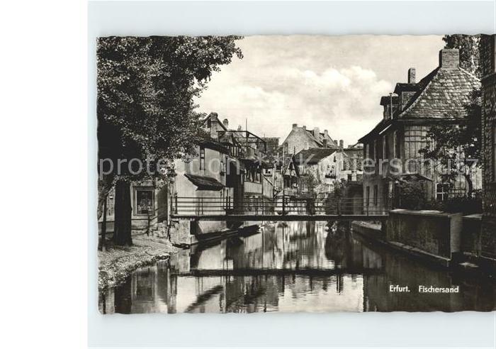 ERFURT CITY Fischersand