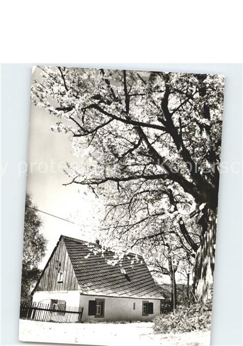 Reichenbach Vogtland Wohnhaus