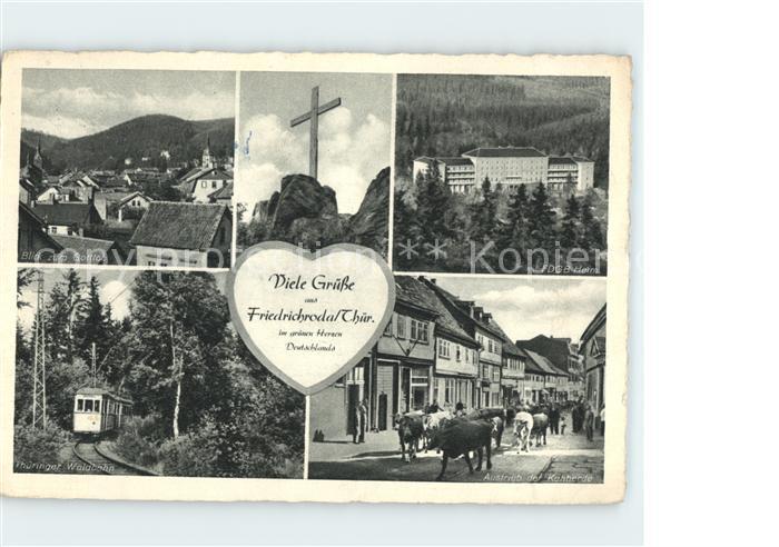 Friedrichsroda FDGB-Heim Strassenbahn Kuehe auf der Strasse