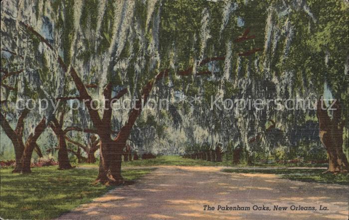 New Orleans Louisiana Pakenham Oaks