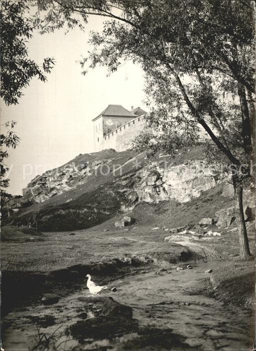 Szydlow Zamok kazimirowski