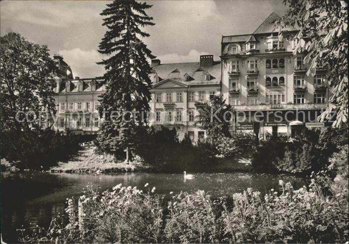 Marianske Lazne Labuti jezirko