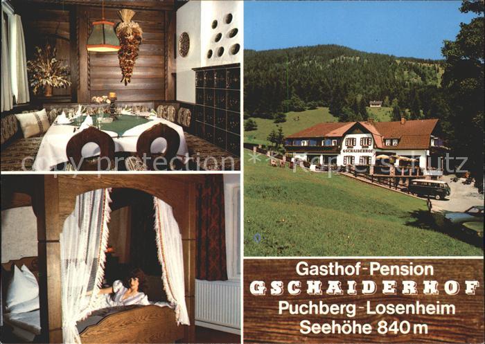 Puchberg Schneeberg Gasthaus Pension Gschaiderhof