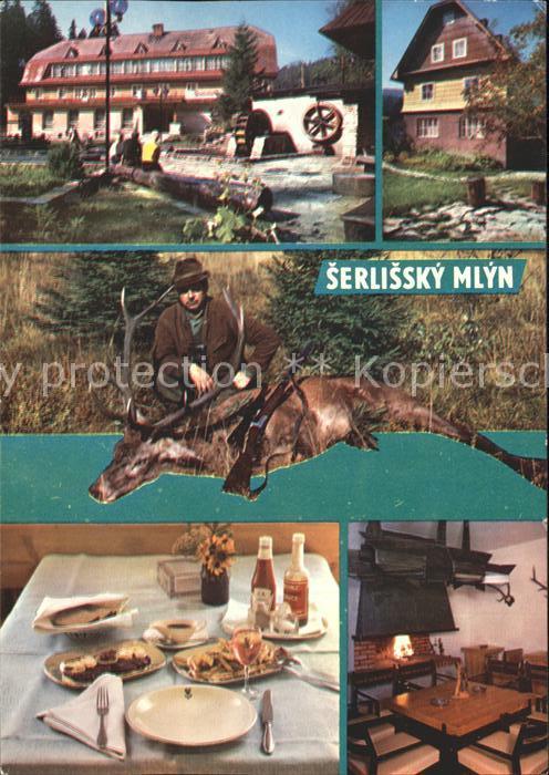 Destne Serlissky Mlyn Wild