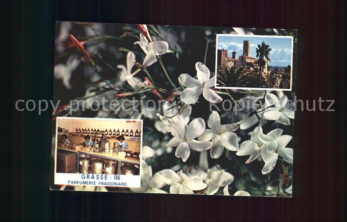 Grasse Alpes Maritimes La Cathedrale Le Jasmin Laboratoires de la Parfumerie