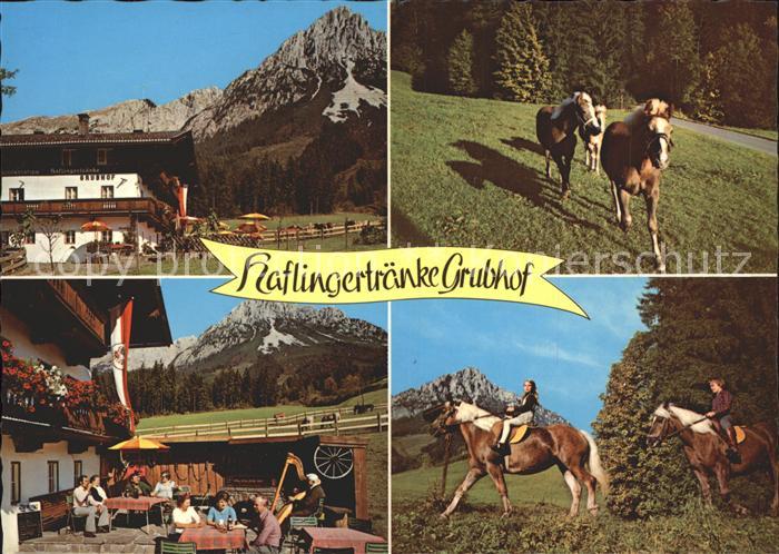 Ellmau Tirol Haflingertraenke Grubhof Reiter Haflinger