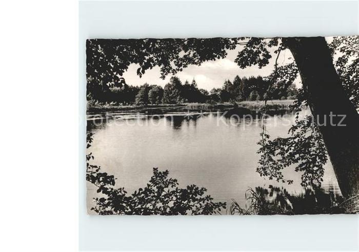 Holm-Seppensen Seppenser Muehlenteich