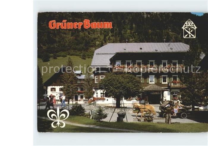 Badgastein Hotel Gruener Baum