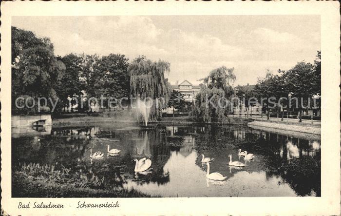 Bad Salzelmen Schwanenteich