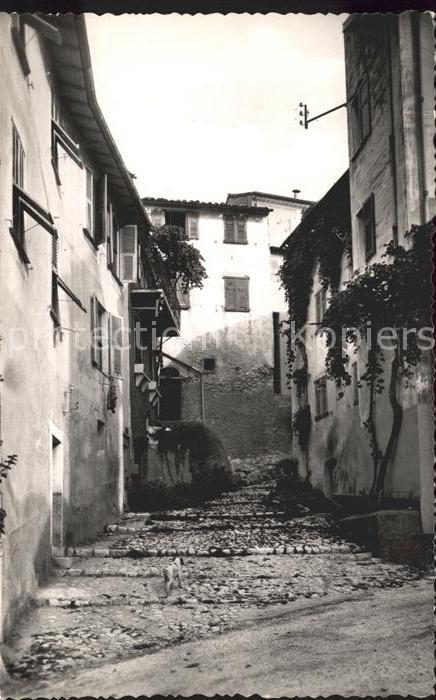 Falicon Ruelle Pittoresque