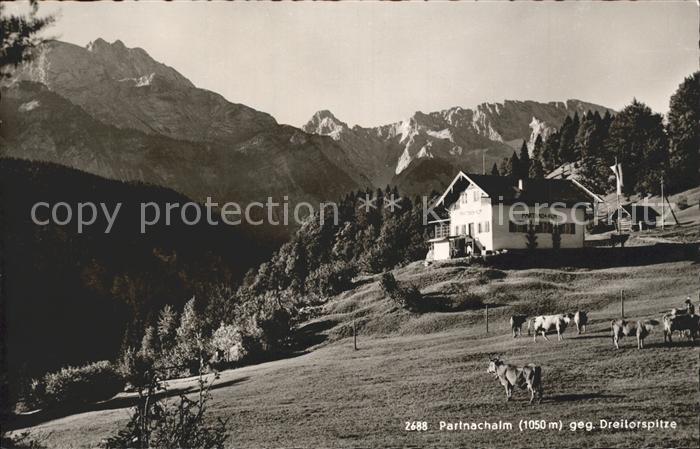 Partnachalm Dreitorspitze