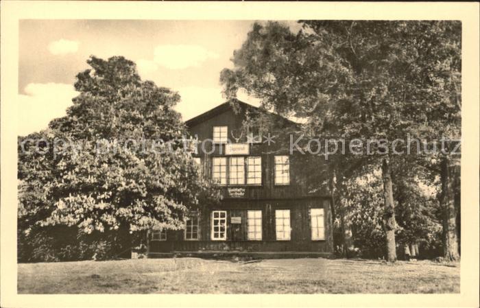 Friedrichsroda Tanzbuche