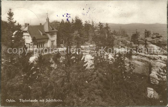 Oybin Sachsen Toepferbaud mit Schildkroete