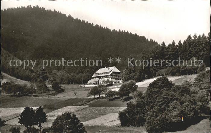 Neuenweg Gasthaus Pension Haldenhof
