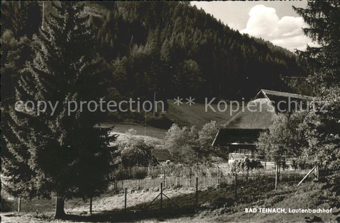 Bad Teinach-Zavelstein Lautenbachhof