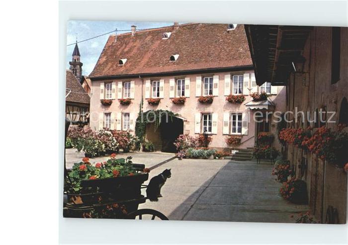 Nordheim Bas-Rhin Gite rural Gerard Speich
