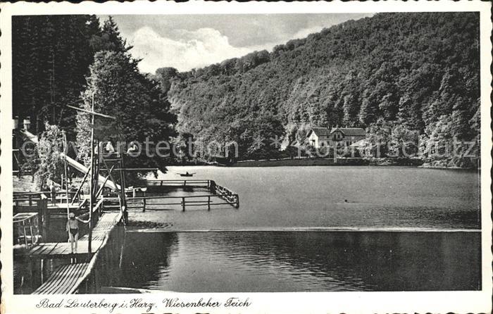 Bad Lauterberg Wiesenbeker Teich Badesteg