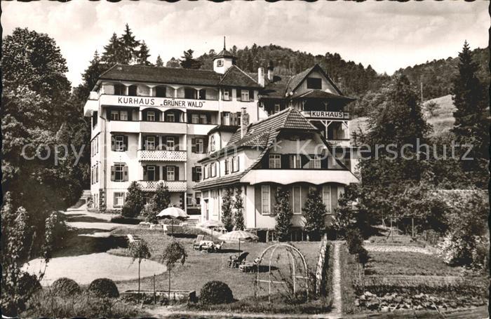 Bad Herrenalb Kurhaus Sanatorium Gr?ner Wald Garten