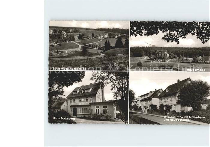 Bockswiese-Hahnenklee Harz Panorama Haus am See Haus Bocksberg Schindler Muetter
