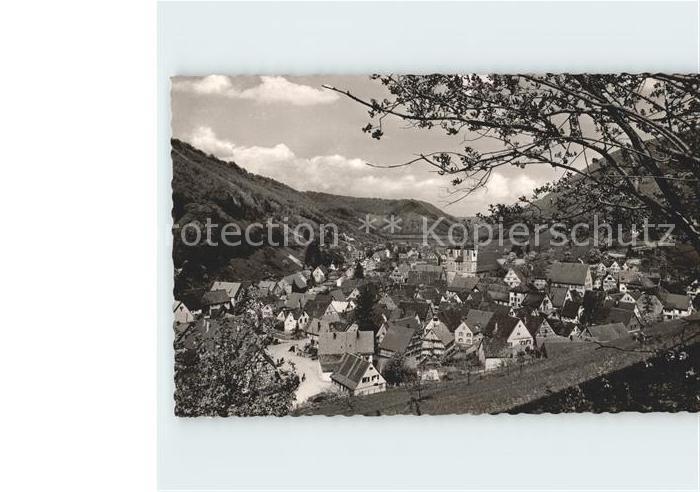 Wiesensteig Panorama Luftkurort Schwaebische Alb