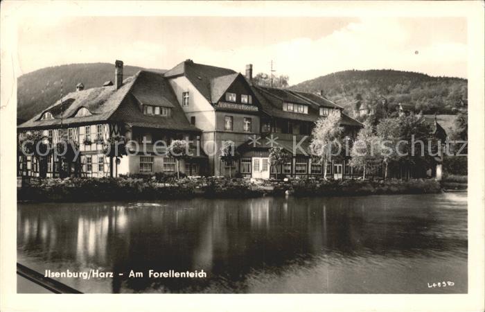 Ilsenburg Harz Gasthaus am Forellenteich