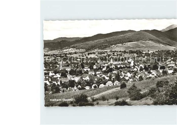 Muellheim Baden Panorama Schwarzwald