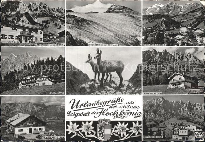 Hochkoenig Reh Matrashaus Mitterberg Alm Rupertihaus