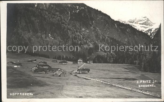 Hopfreben Teilansicht