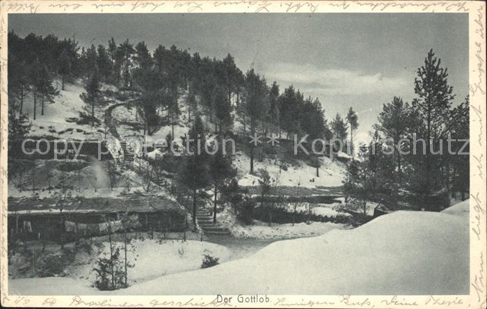 HAMBURG  CITY Gottlob