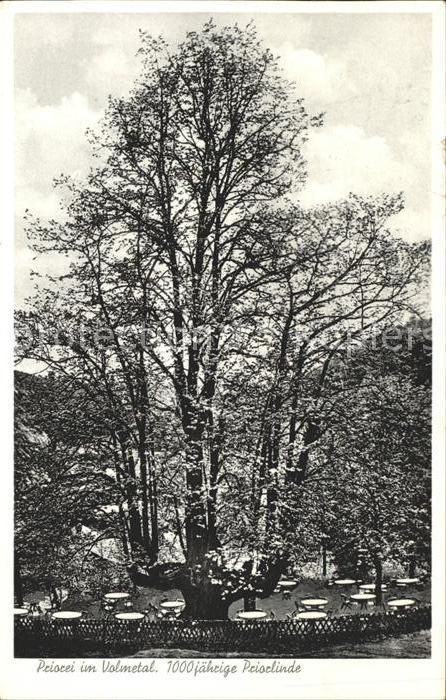 Priorei Volmetal 1000 jaehrige Priorlinde