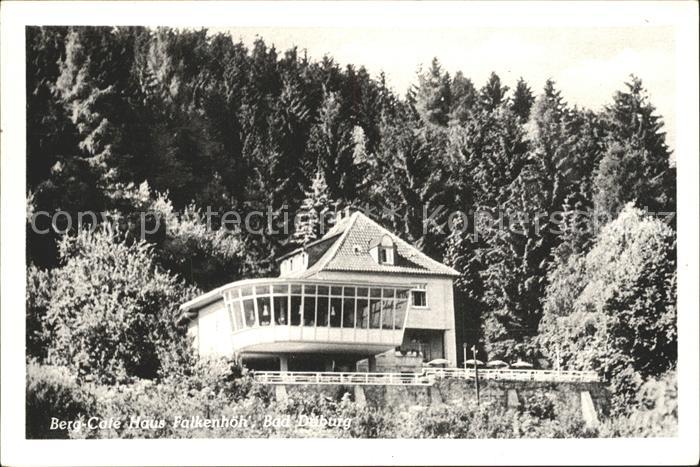 Bad Driburg Berg Cafe Haus Falkenhoeh