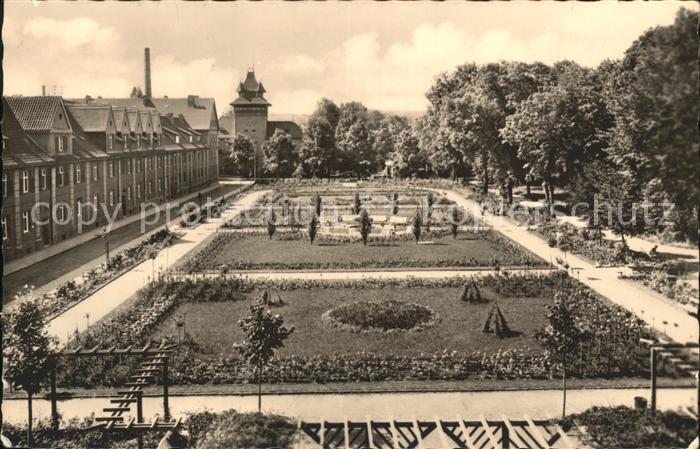 Aschersleben Sachsen-Anhalt Rosengarten