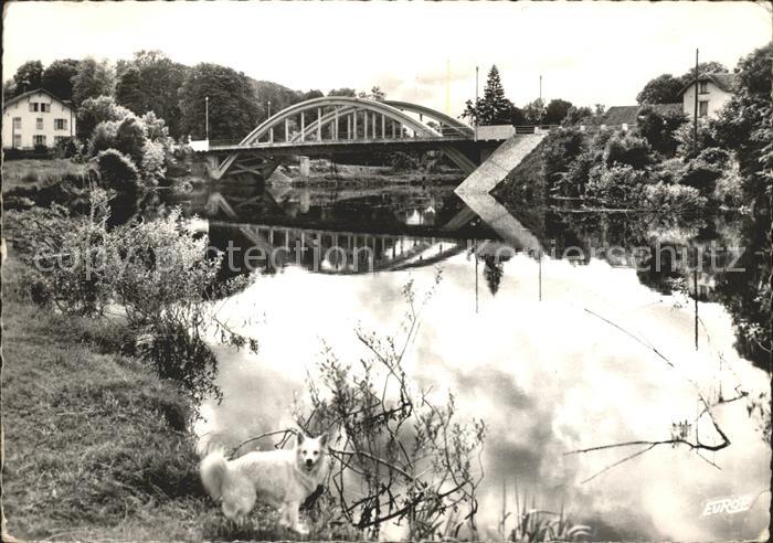 Remiremont Vosges Pont Le Prieur sur la Moselle