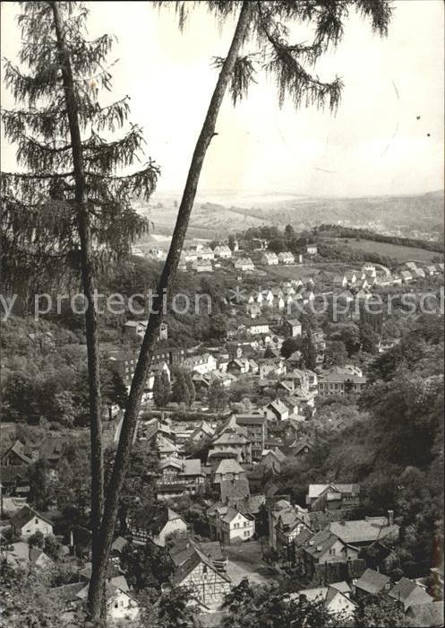 Thal Ruhla vom Schlossberg