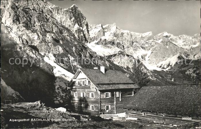 Filzmoos Alpengasthof Bachlalm mit Dachstein