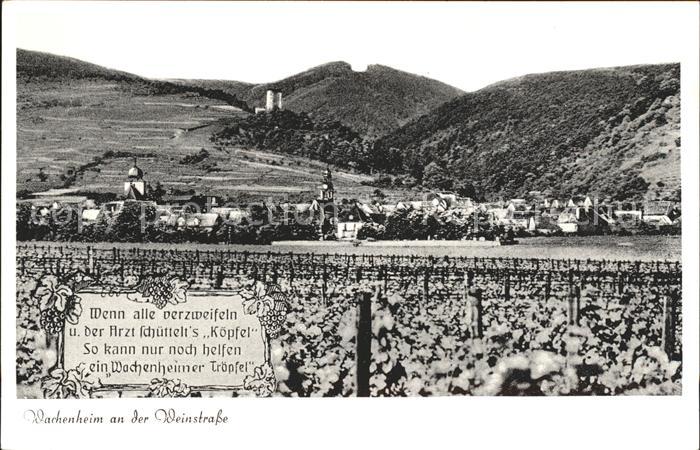 Wachenheim Weinstrasse Panorama